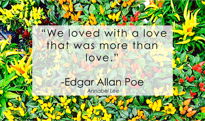 Love - Edgar Allan Poe - Miami Blogger